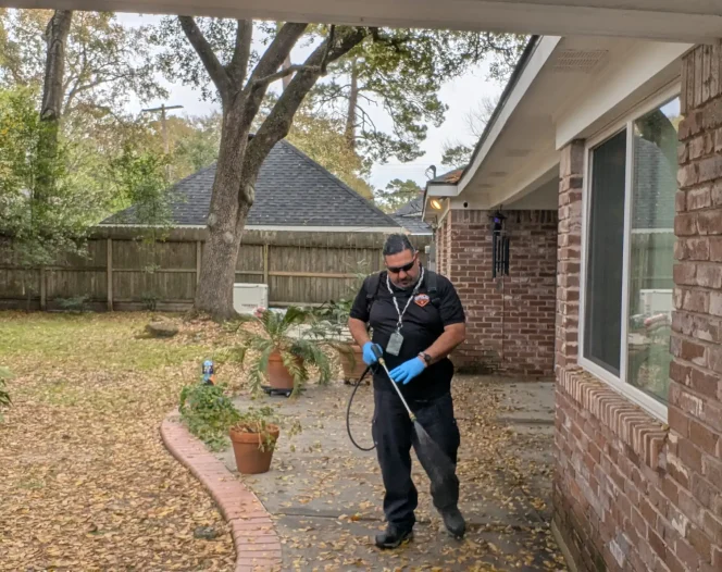memorial city pest control 2026 02 12T23 59 25.373276Z 019c544b 7f63 7088 8a0b 13385957ef28 optimized