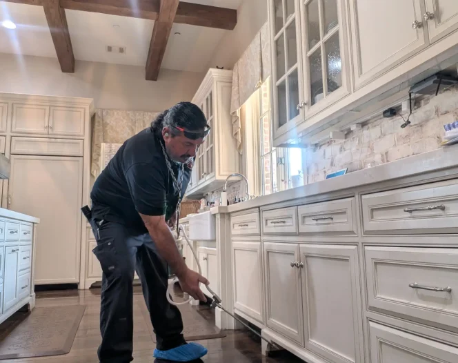 memorial city pest control 2026 02 20T01 38 58.524697Z 019c78b3 1605 79bb a762 44c4202bf230 optimized